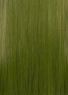 Green Straight Lace Front Synthetic Wig LF3364