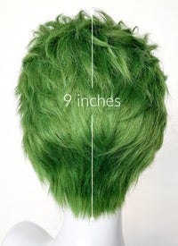 Green Wavy Lace Front Synthetic Men's Wig LF6044A (Customisable)