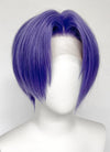 Blue Lock Blitzo Buckzo Purple Straight Lace Front Synthetic Men's Wig LF6060A