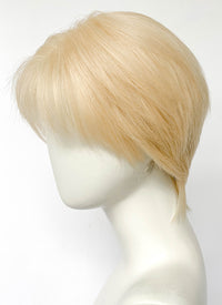 Blonde Straight Lace Front Synthetic Hair Men's Wig LF8026