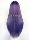 Purple Mixed Blue Straight Synthetic Hair Wig NLCS018