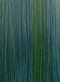 Blue Mixed Green Straight Synthetic Hair Wig NS593