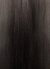 Heaven Official's Blessing Xie lian Brunette Straight Synthetic Men's Wig With Bun TB1751